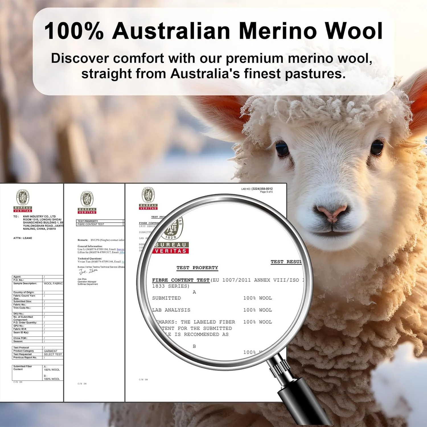 Mens 100% Merino Wool Base Layer