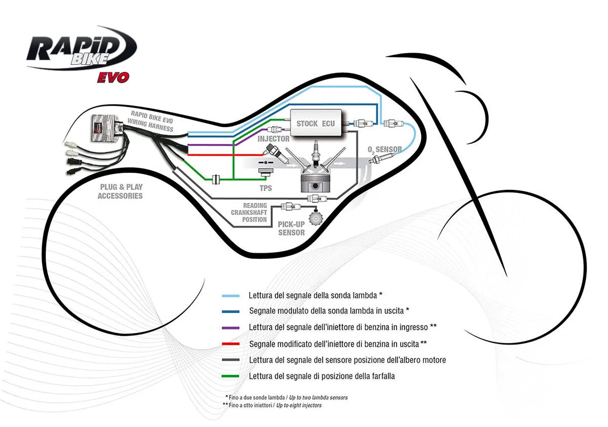 Triumph Street Triple 675/R 2008/16 Rapid Bike EVO Module Plug & Play Control Module & Wiring Harness
